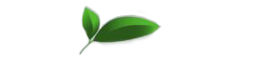 ET Services